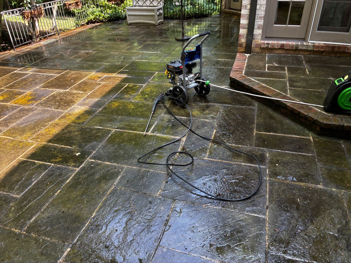 Flagstone patio covered in moss and algae before cleaning