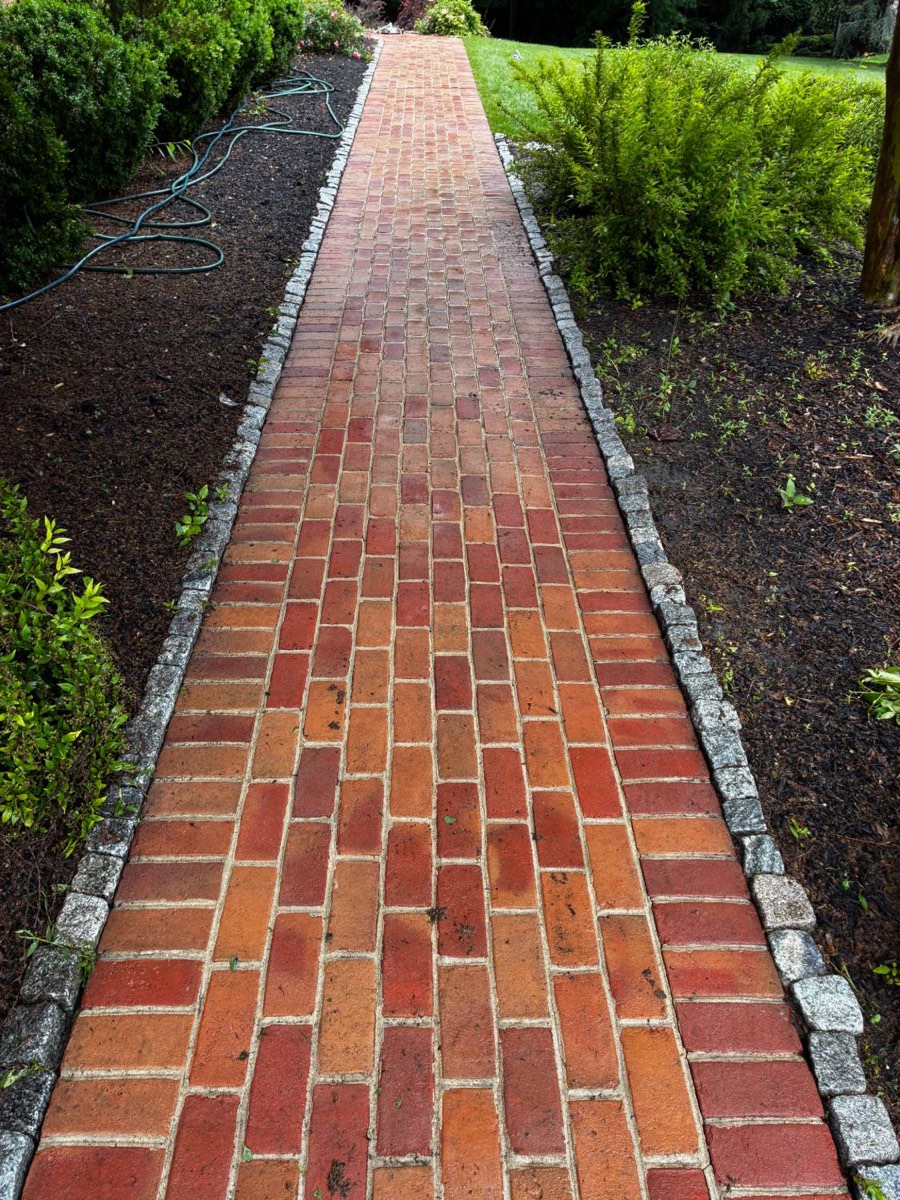 Brick walkway restored to vibrant red after power washing
