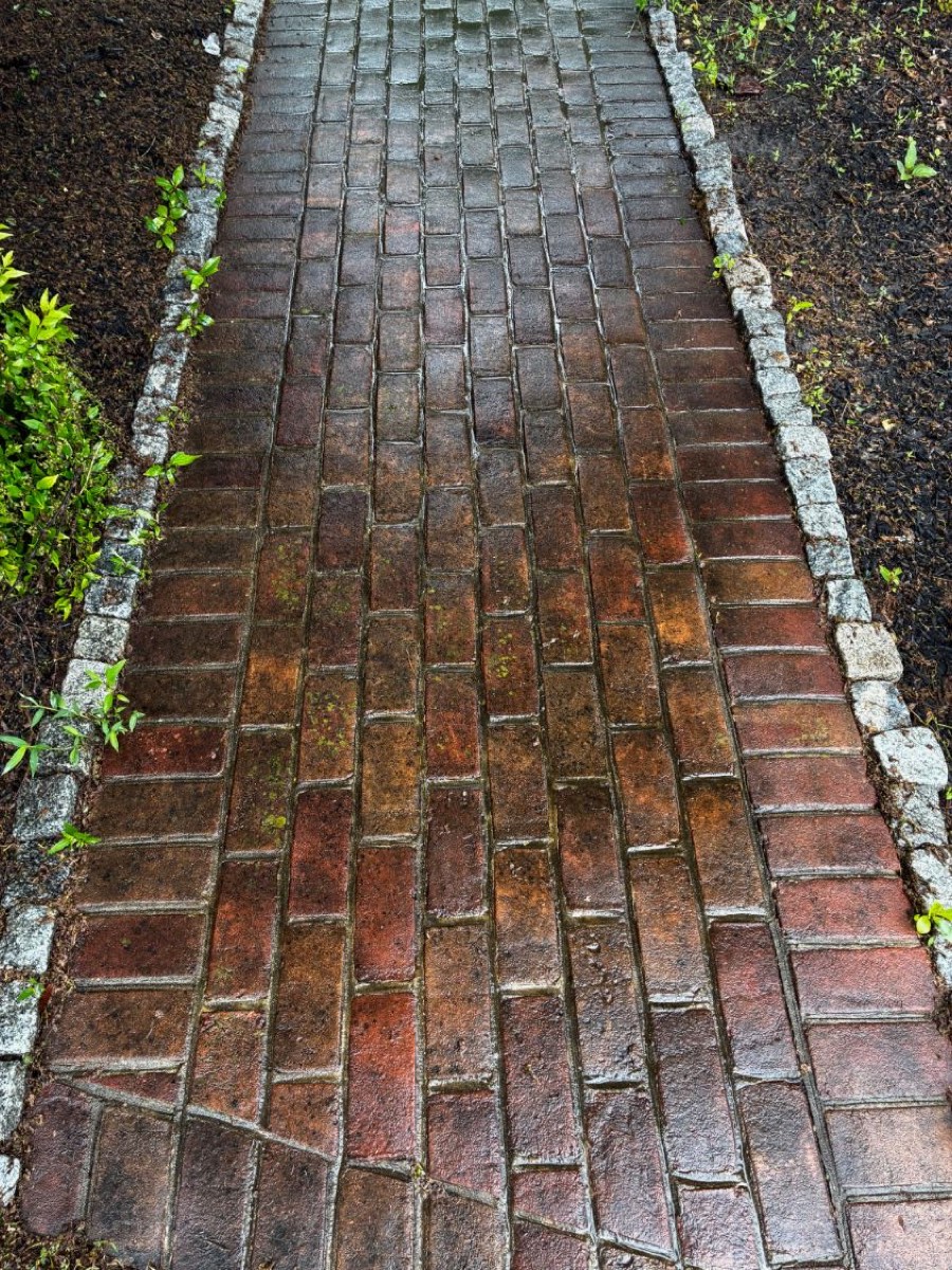Brick walkway darkened by dirt and moss before cleaning